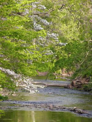 The Groaning River and Public Theology