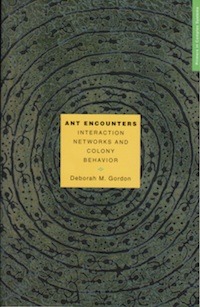 Public Theology of Science and Semantic Theory of Individuality